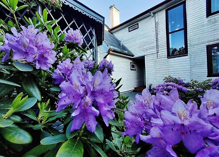 Гостевой дом Neringos 22 3*