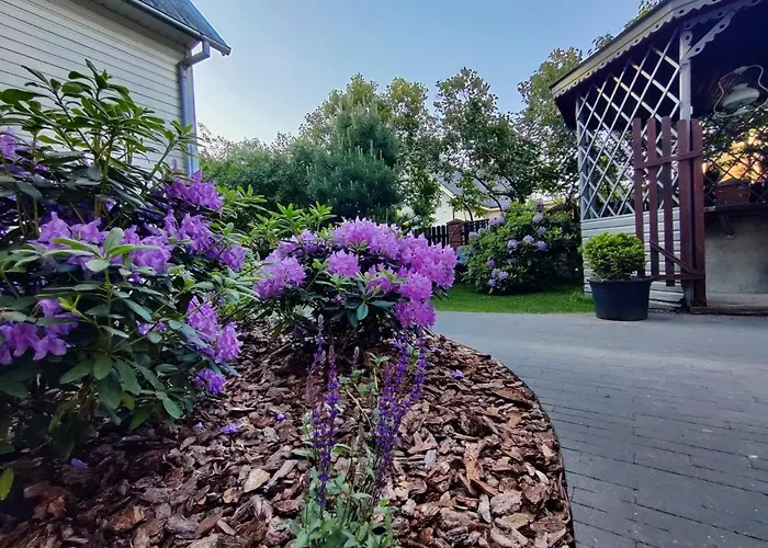 Гостевой дом Neringos 22 Паланга