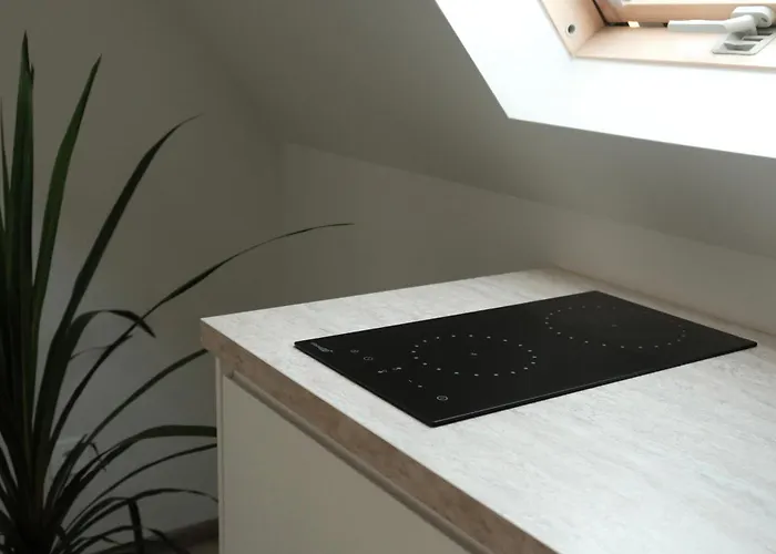 Гостевой дом Neringos 22 Паланга